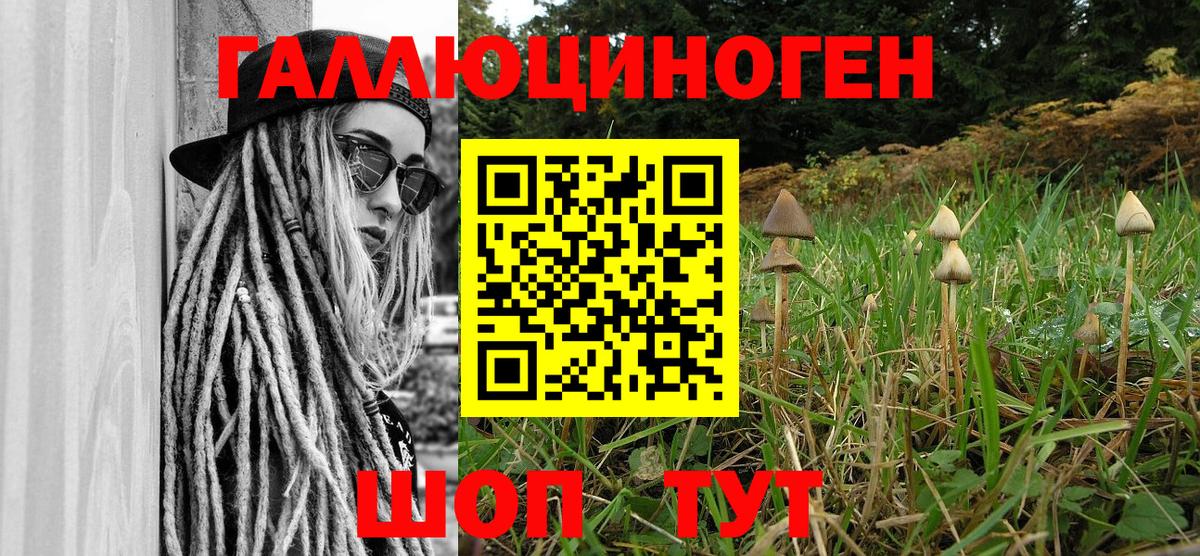 Псилоцибиновые грибы мухоморы Маркс
